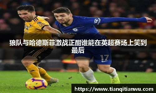 狼队与哈德斯菲激战正酣谁能在英超赛场上笑到最后